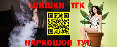 МДПВ Славгород
