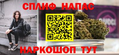 МДПВ Славгород