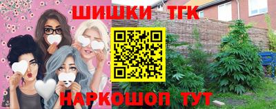 МДПВ Славгород