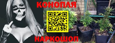 прущие крисы Сланцы