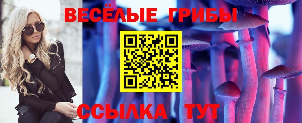 Псилоцибиновые грибы прущие грибы  Вход с VPN  Новый Уренгой  Галлюциногенные грибы мицелий 